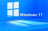 Windows11打开变量值数方法介绍
