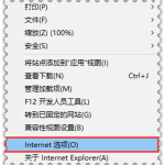 查看ie11浏览器临时缓存文件保存位置的方法