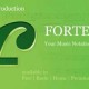 FORTE 10怎么安装的 FORTE 10安装教程大全