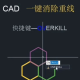cad快速消除重线流程先容