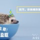 若何通过猫饼剪辑视频