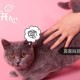 猫饼怎么添加内陆音乐