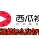 西瓜视频怎么更名字
