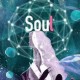 soul怎么上传视频?视频上传步骤分享