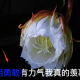剪映字幕逐字变色制作教程分享