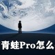 微信田鸡Pro若何使用_微信田鸡Pro使用方式先容