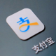 支付宝收支境纪录查询方式